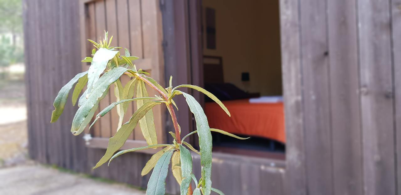 Casas Rurales Cijara Guest House Helechosa Bagian luar foto